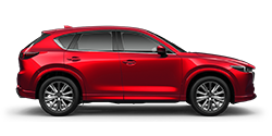 car-rental