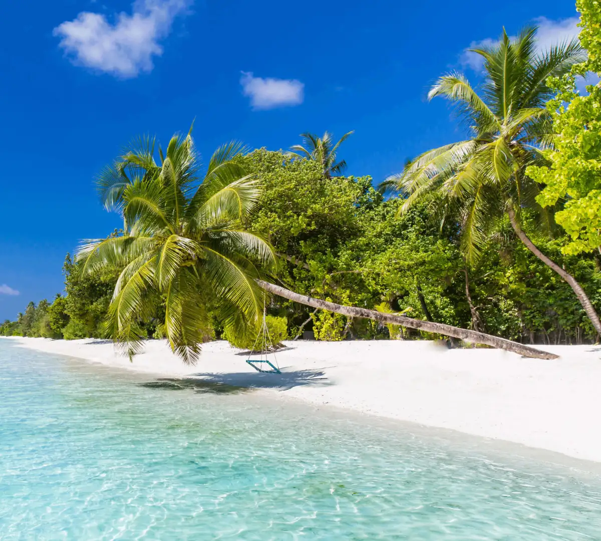 travel-agency
