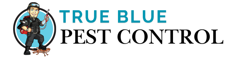consultant