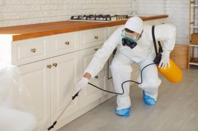pest-control-service