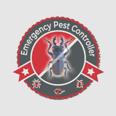 pest-control-service