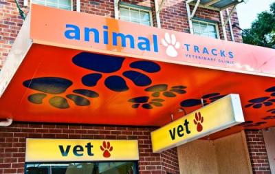 veterinarian