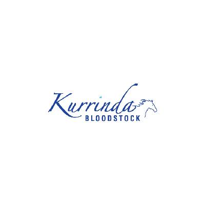 horseback-riding-center