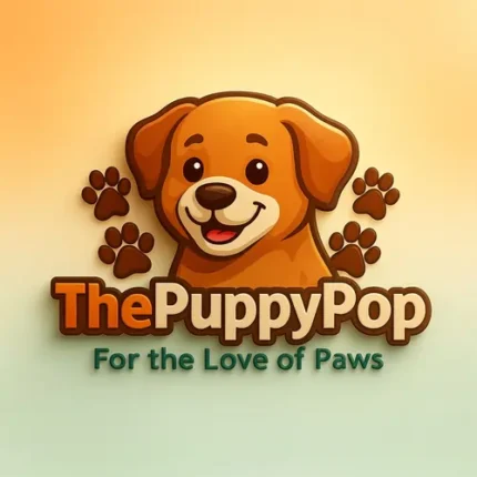 pet-store