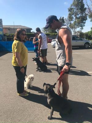 dog-trainer