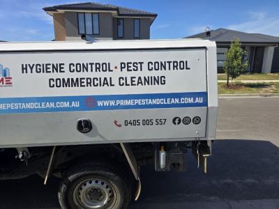 pest-control-service