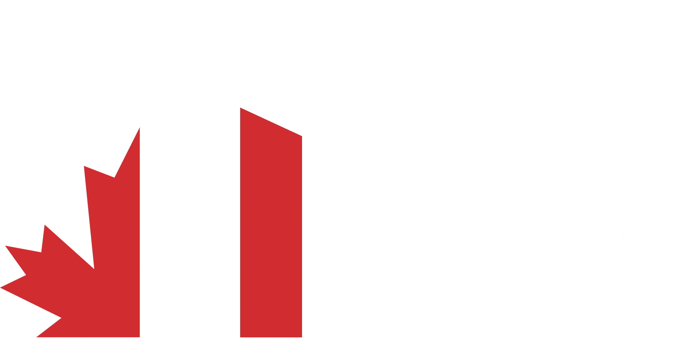 consultant