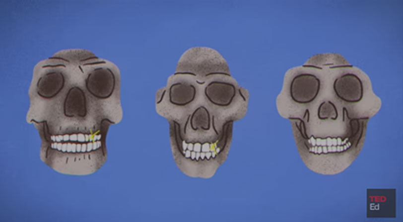 dentist