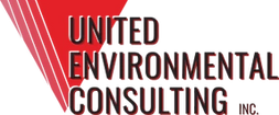consultant