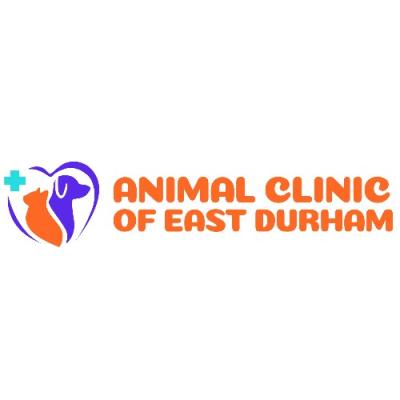 veterinarian