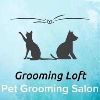 pet-groomer