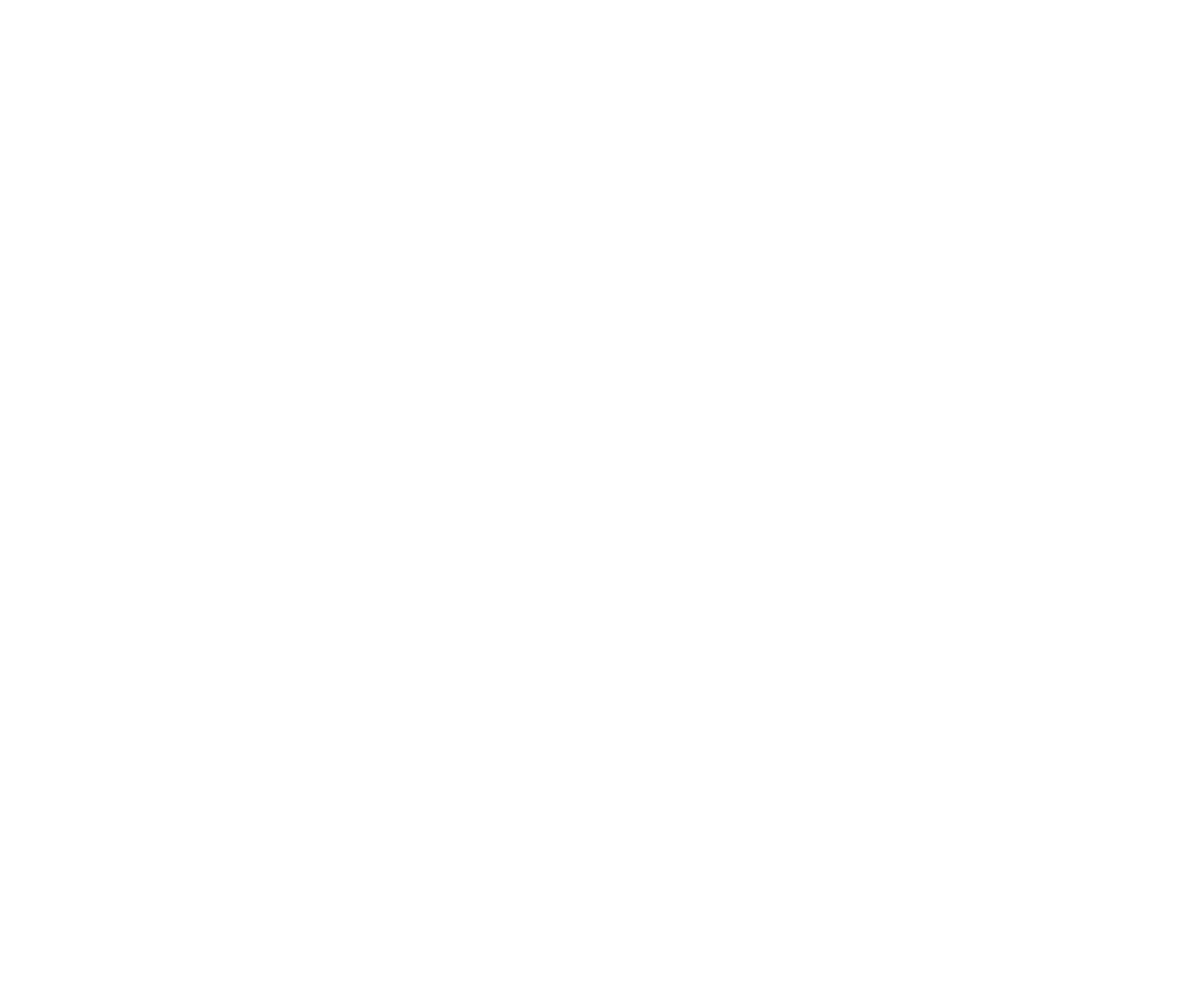 consultant