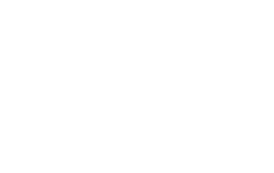 consultant