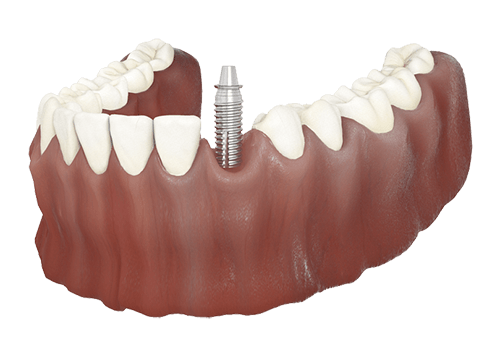 dentist