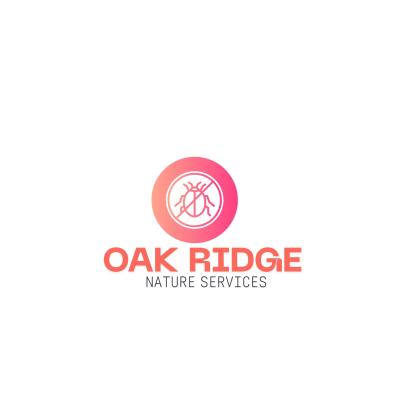 pest-control-service