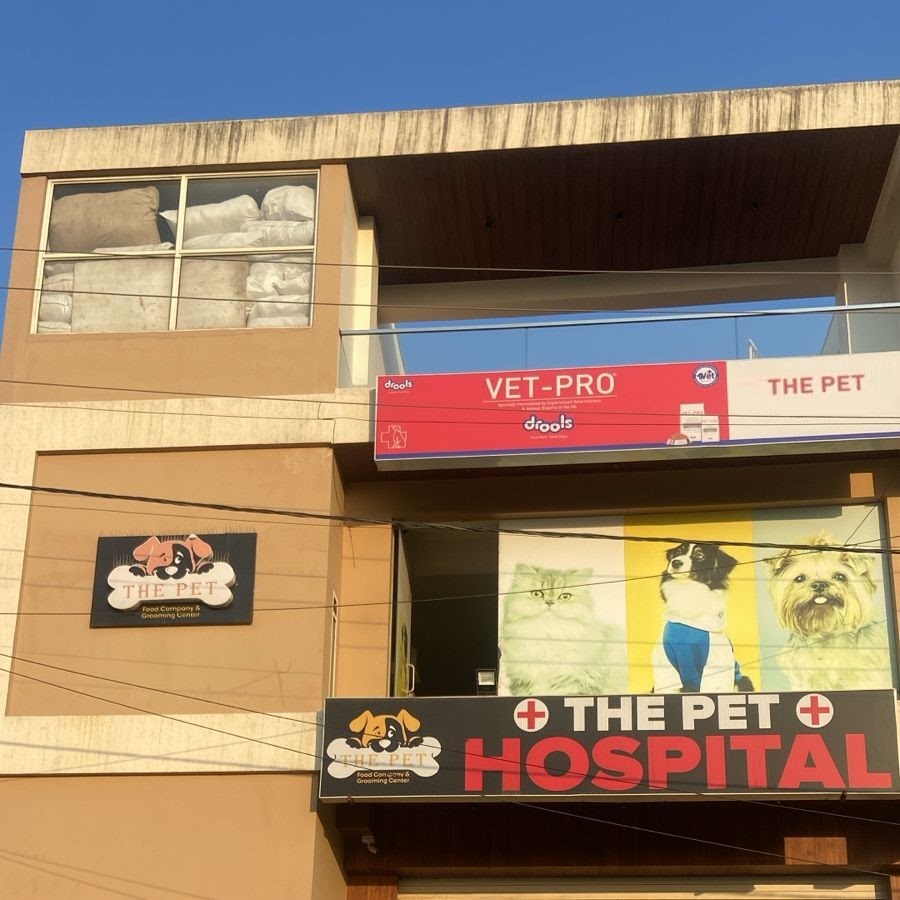 pet-store