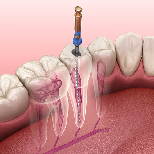 dentist