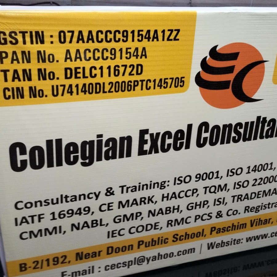 consultant