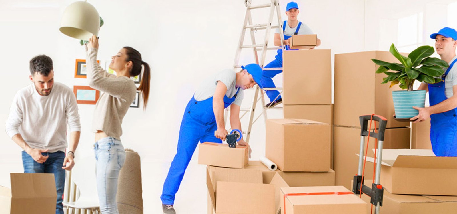 moving-company