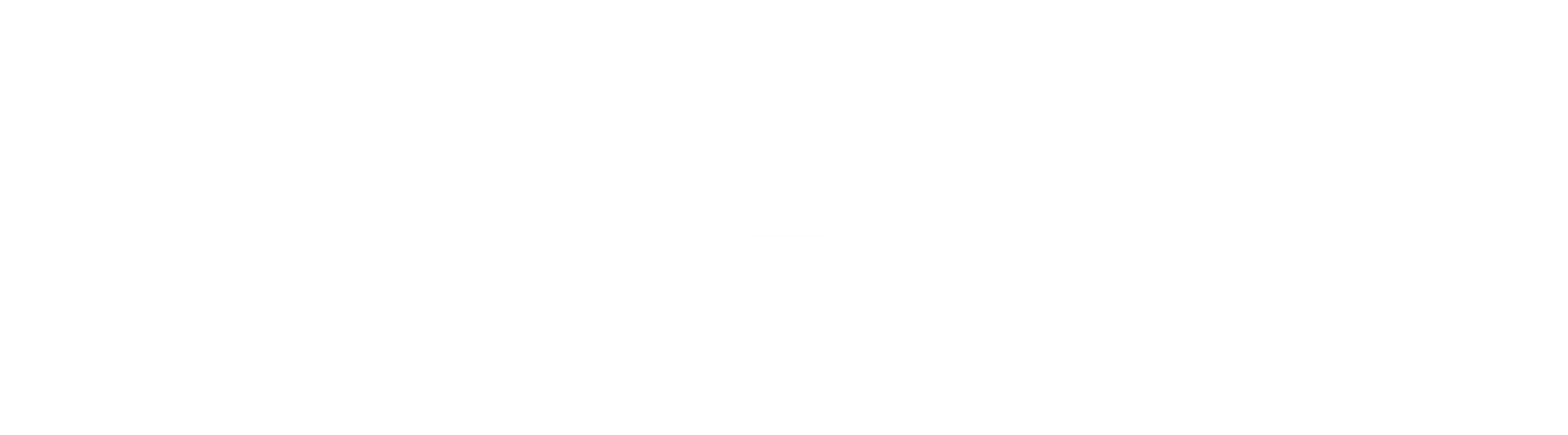 consultant