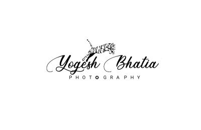 photographer