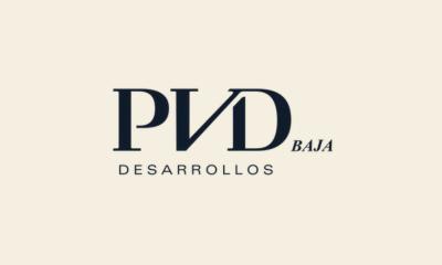 business-consultant