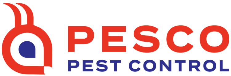 local-business