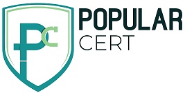 consultant