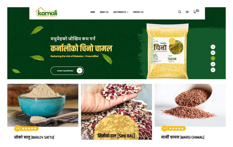 Photos of Website Design in Nepal MegaSoft