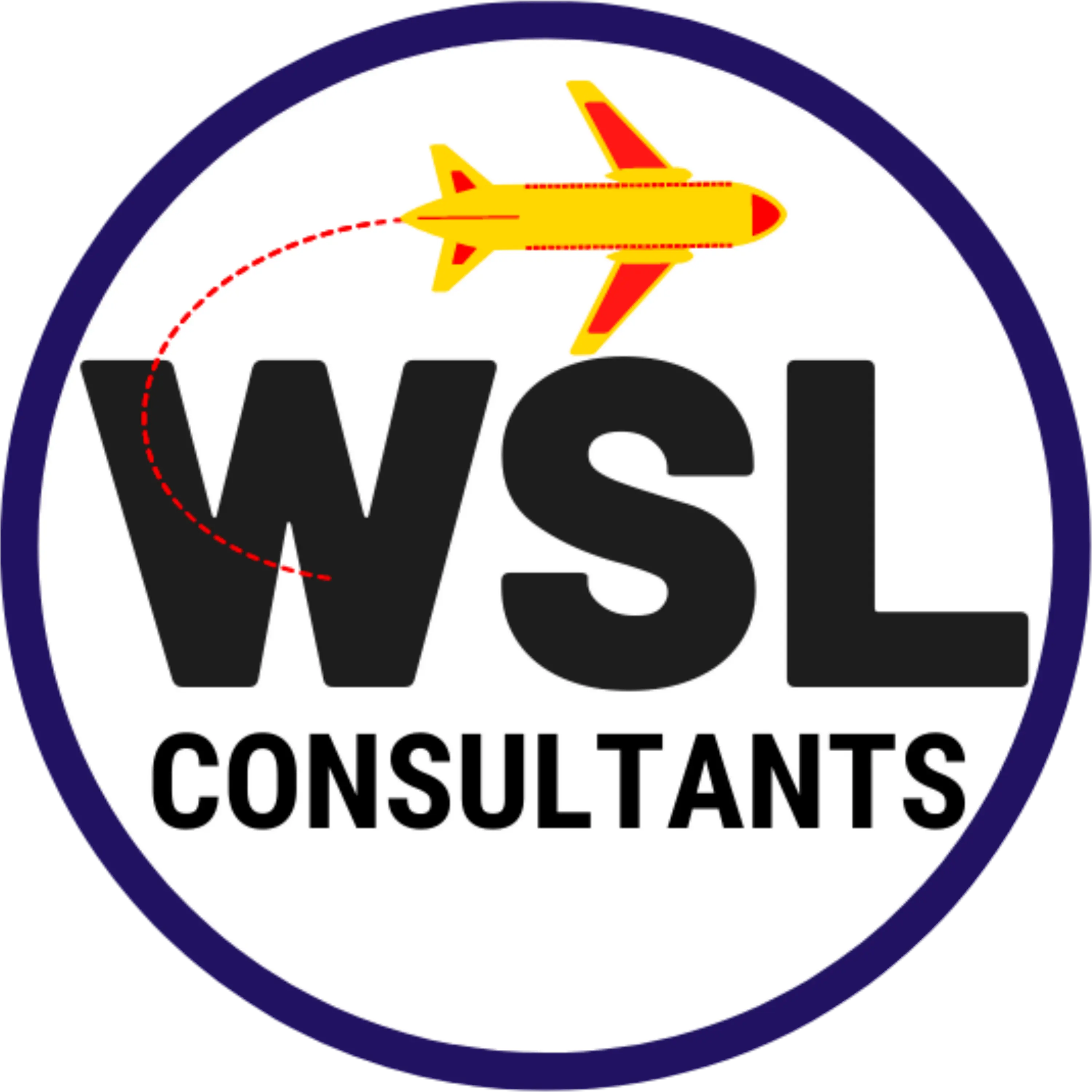 consultant
