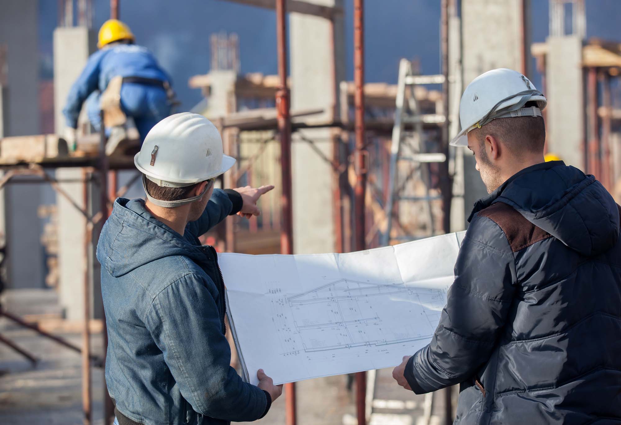contractor