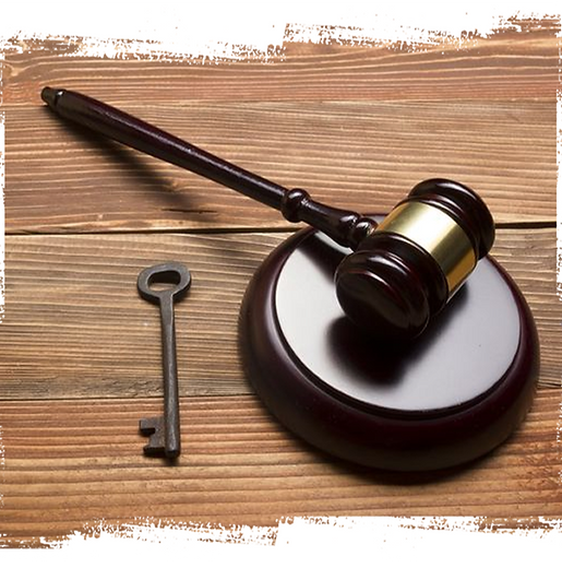 lawyer