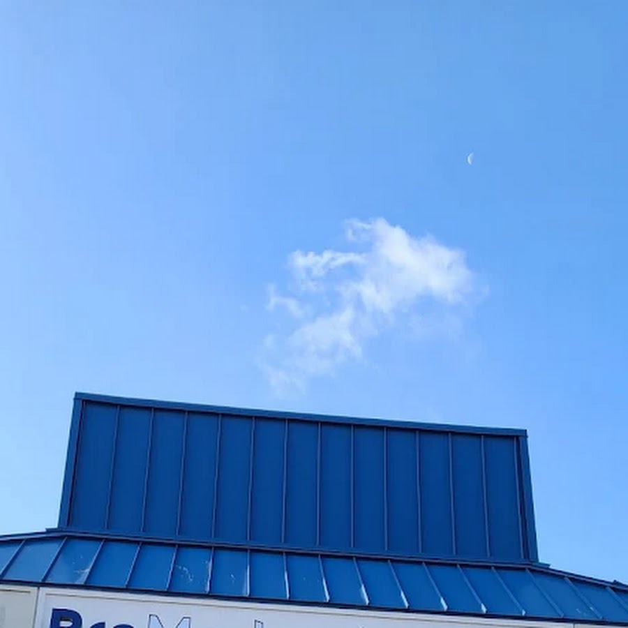 company