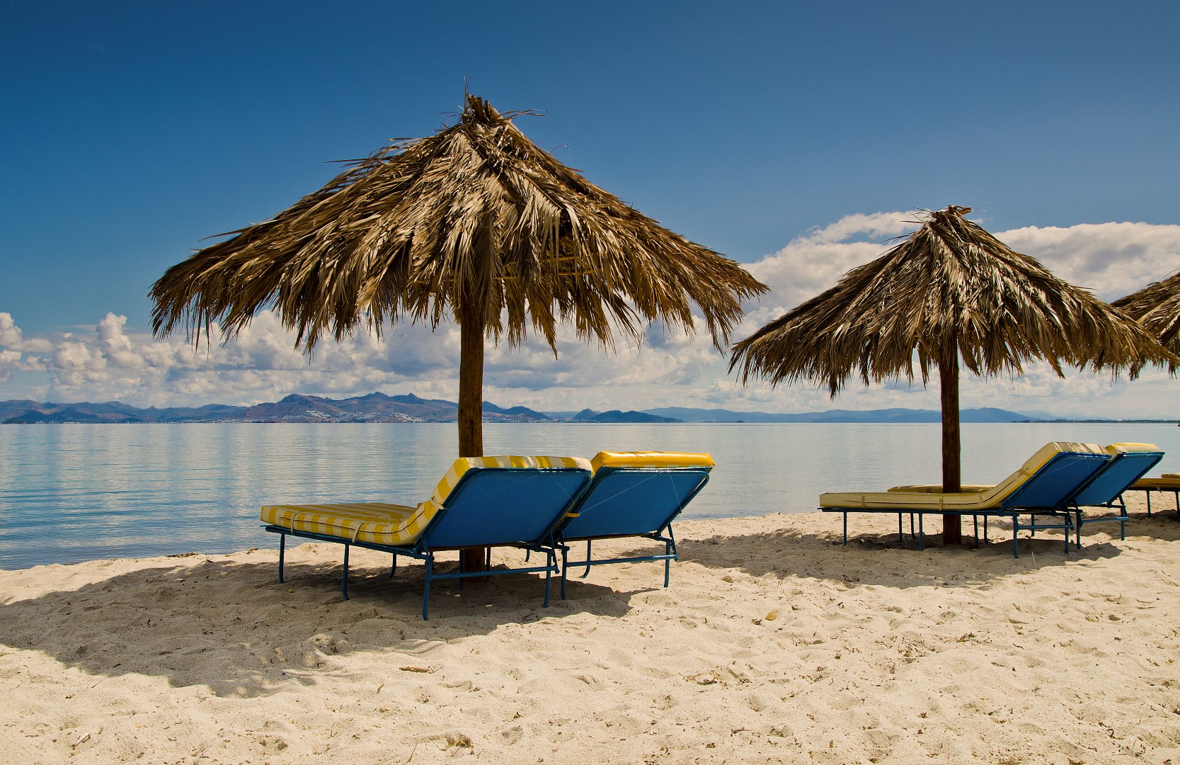 travel-agency
