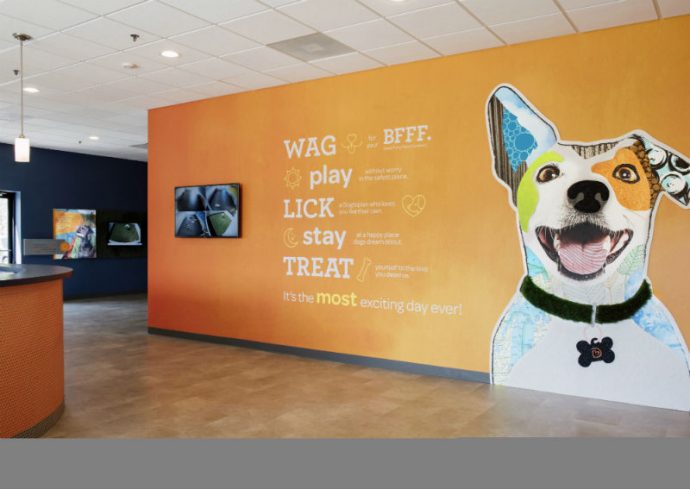 pet-store