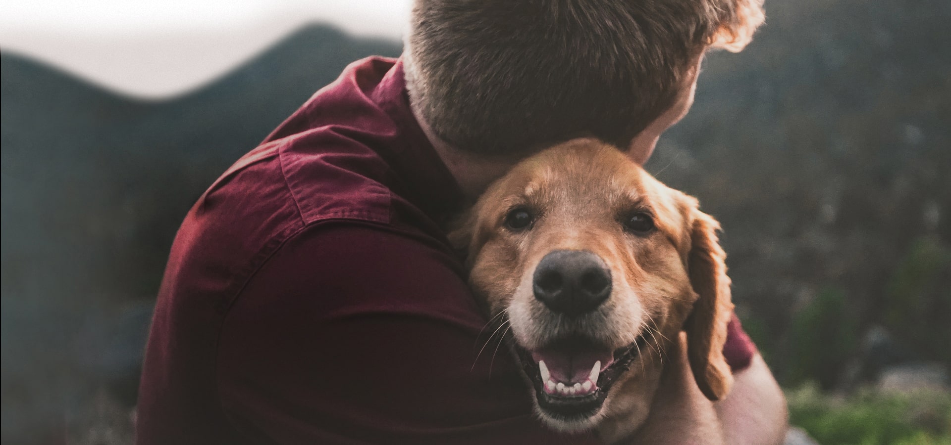 veterinary-care