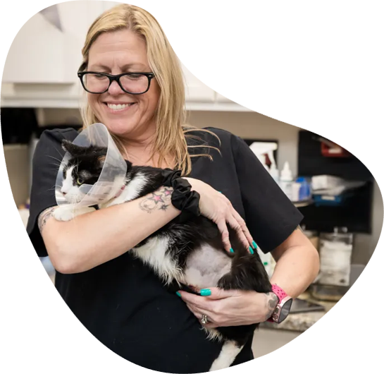 veterinary-care