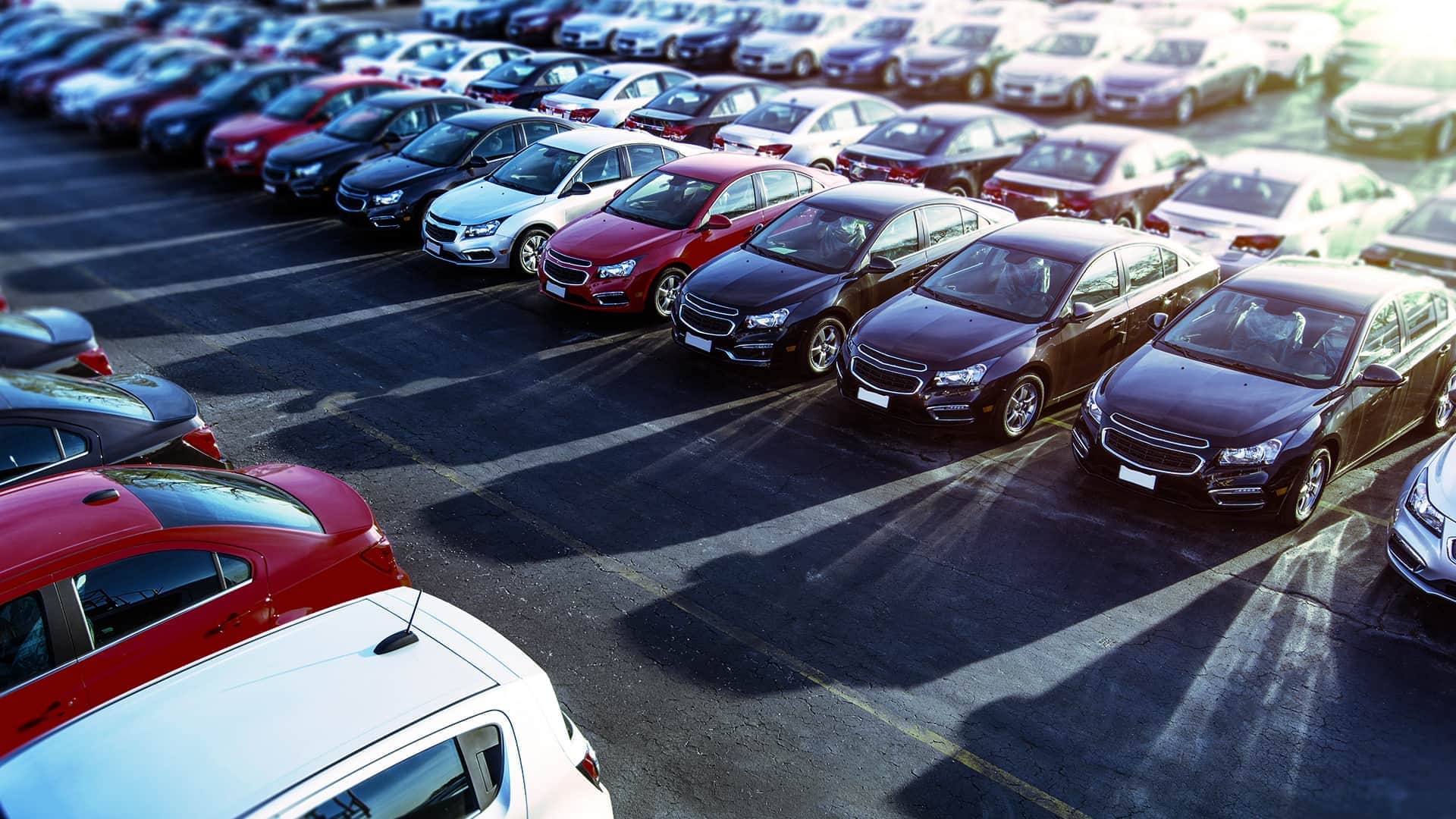 car-dealer