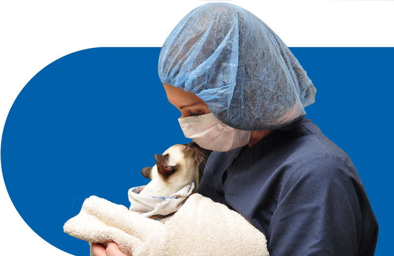 veterinary-care