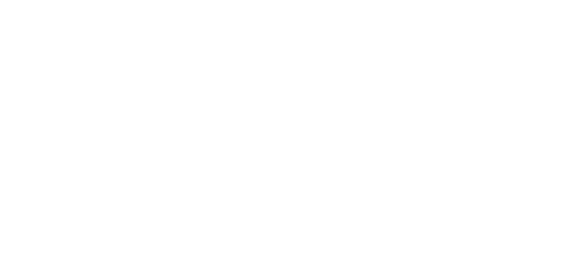 consultant