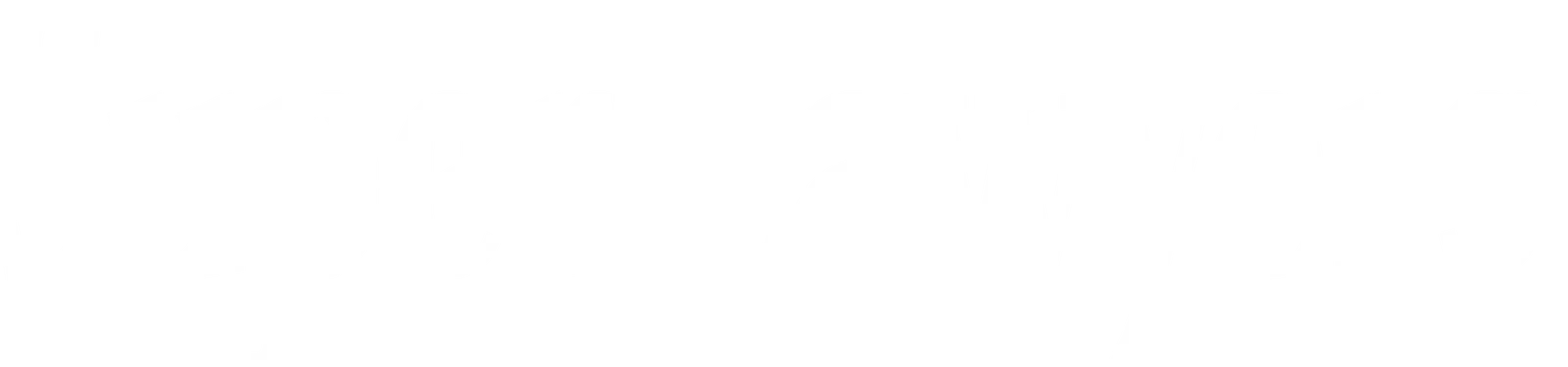 lawyer