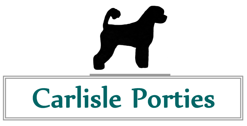 pet-store