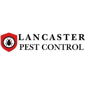 pest-control-service