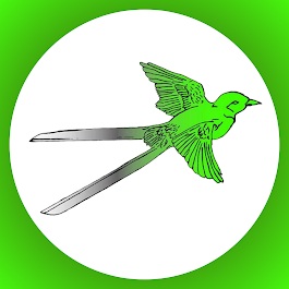 landscape-company