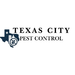 pest-control-service