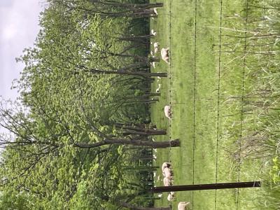 farm