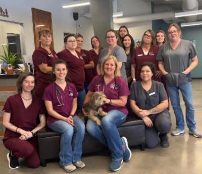 veterinarian