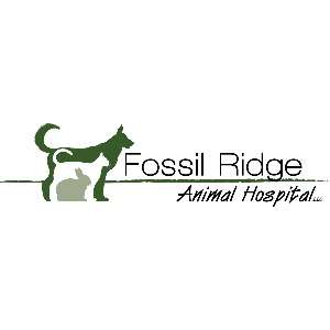 veterinarian
