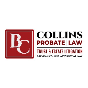 lawyer-law-firm