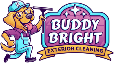 cleaning-service